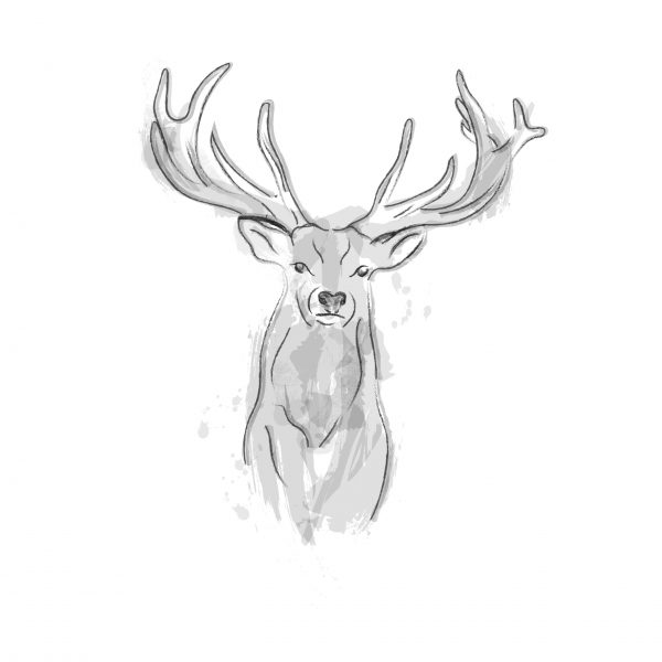 deer_illustration_mr_cervus_bar_cabinet